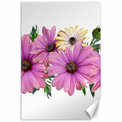 Flowers Daisies Arrangement Garden Canvas 20  X 30  by Pakrebo