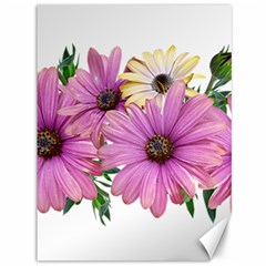 Flowers Daisies Arrangement Garden Canvas 36  X 48  by Pakrebo