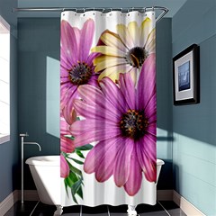 Flowers Daisies Arrangement Garden Shower Curtain 36  X 72  (stall)  by Pakrebo