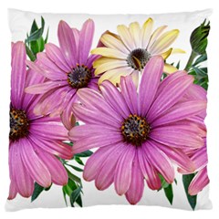 Flowers Daisies Arrangement Garden Standard Flano Cushion Case (one Side) by Pakrebo