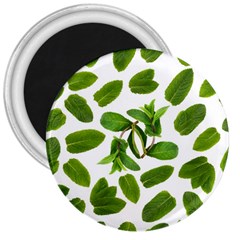 Mint Seamless Pattern Leaf Green 3  Magnets by Pakrebo