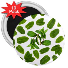 Mint Seamless Pattern Leaf Green 3  Magnets (10 Pack)  by Pakrebo