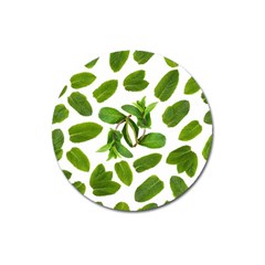 Mint Seamless Pattern Leaf Green Magnet 3  (round) by Pakrebo