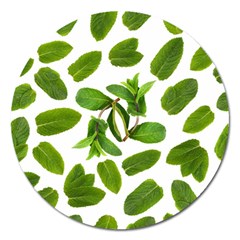 Mint Seamless Pattern Leaf Green Magnet 5  (round) by Pakrebo