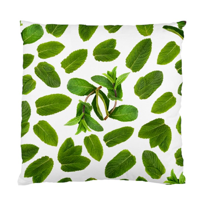 Mint Seamless Pattern Leaf Green Standard Cushion Case (Two Sides)