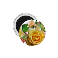 Flowers Roses Autumn Leaves 1 75  Magnets by Pakrebo