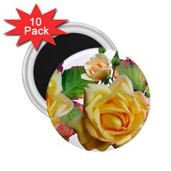 Flowers Roses Autumn Leaves 2 25  Magnets (10 Pack)  by Pakrebo