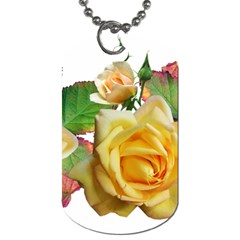 Flowers Roses Autumn Leaves Dog Tag (one Side) by Pakrebo