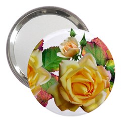 Flowers Roses Autumn Leaves 3  Handbag Mirrors by Pakrebo