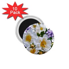 Flowers Roses White Mauve Babianas 1.75  Magnets (10 pack) 