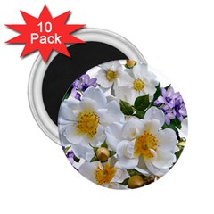 Flowers Roses White Mauve Babianas 2.25  Magnets (10 pack) 