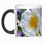 Flowers Roses White Mauve Babianas Morph Mugs Left