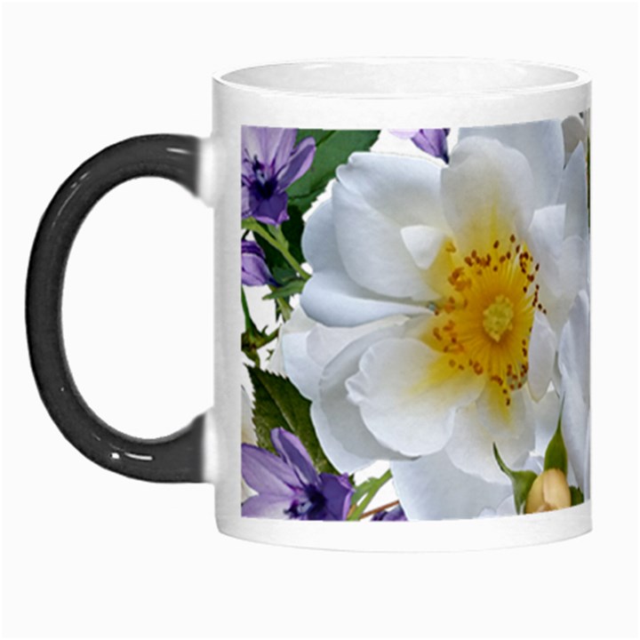 Flowers Roses White Mauve Babianas Morph Mugs