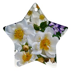 Flowers Roses White Mauve Babianas Star Ornament (Two Sides)