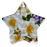 Flowers Roses White Mauve Babianas Star Ornament (Two Sides) Front