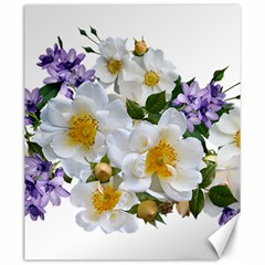 Flowers Roses White Mauve Babianas Canvas 20  x 24 