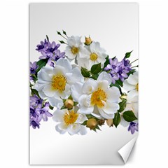 Flowers Roses White Mauve Babianas Canvas 24  x 36 