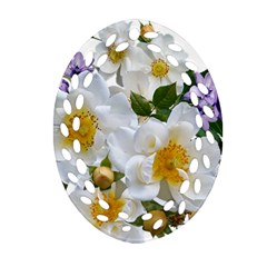 Flowers Roses White Mauve Babianas Ornament (Oval Filigree)