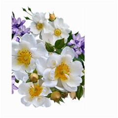 Flowers Roses White Mauve Babianas Large Garden Flag (Two Sides)