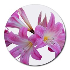 Lily Belladonna Easter Lily Round Mousepads by Pakrebo