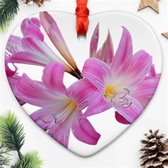 Lily Belladonna Easter Lily Ornament (heart) by Pakrebo