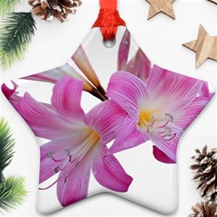 Lily Belladonna Easter Lily Ornament (star) by Pakrebo