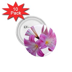 Lily Belladonna Easter Lily 1 75  Buttons (10 Pack) by Pakrebo