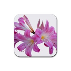 Lily Belladonna Easter Lily Rubber Coaster (square)  by Pakrebo