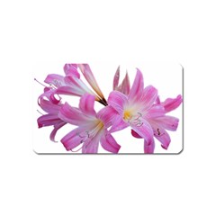 Lily Belladonna Easter Lily Magnet (name Card)