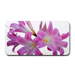 Lily Belladonna Easter Lily Medium Bar Mats by Pakrebo