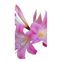 Lily Belladonna Easter Lily Memory Card Reader (rectangular) by Pakrebo