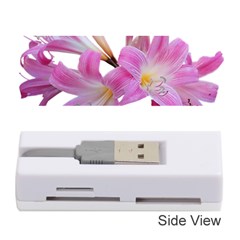 Lily Belladonna Easter Lily Memory Card Reader (stick) by Pakrebo