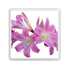 Lily Belladonna Easter Lily Memory Card Reader (square) by Pakrebo