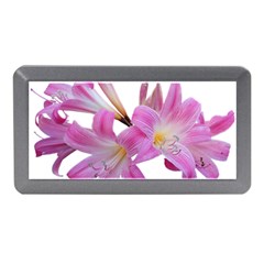 Lily Belladonna Easter Lily Memory Card Reader (mini) by Pakrebo