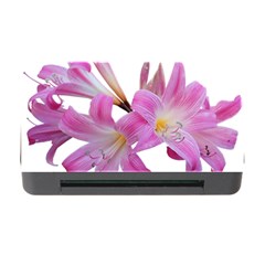 Lily Belladonna Easter Lily Memory Card Reader With Cf by Pakrebo