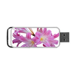 Lily Belladonna Easter Lily Portable Usb Flash (two Sides) by Pakrebo