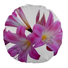 Lily Belladonna Easter Lily Large 18  Premium Round Cushions by Pakrebo