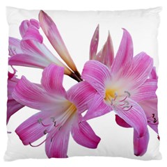 Lily Belladonna Easter Lily Standard Flano Cushion Case (two Sides) by Pakrebo