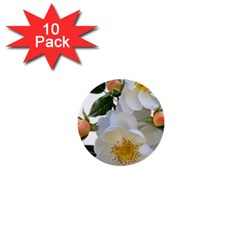 Roses Stamens Pollen Buds White 1  Mini Buttons (10 Pack)  by Pakrebo