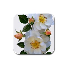 Roses Stamens Pollen Buds White Rubber Square Coaster (4 Pack) 