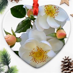 Roses Stamens Pollen Buds White Heart Ornament (two Sides) by Pakrebo