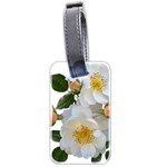 Roses Stamens Pollen Buds White Luggage Tag (two sides) Back