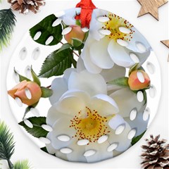 Roses Stamens Pollen Buds White Round Filigree Ornament (two Sides)