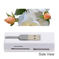 Roses Stamens Pollen Buds White Memory Card Reader (stick) by Pakrebo