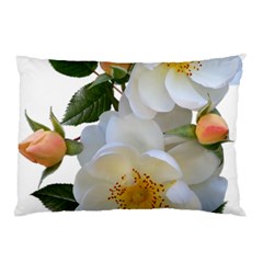 Roses Stamens Pollen Buds White Pillow Case (two Sides) by Pakrebo