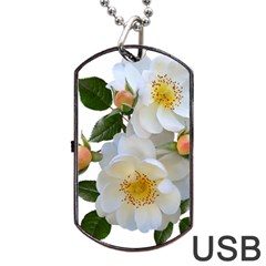 Roses Stamens Pollen Buds White Dog Tag Usb Flash (two Sides) by Pakrebo