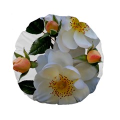 Roses Stamens Pollen Buds White Standard 15  Premium Round Cushions