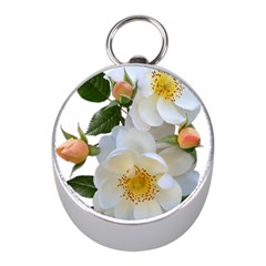 Roses Stamens Pollen Buds White Mini Silver Compasses by Pakrebo