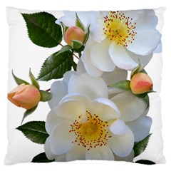 Roses Stamens Pollen Buds White Large Flano Cushion Case (two Sides) by Pakrebo