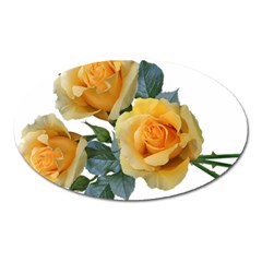 Roses Yellow Flowers Fragrant Oval Magnet by Pakrebo